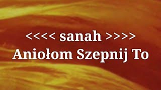 sanah  Aniołom Szepnij To Tekst  Lyrics [upl. by Grew49]