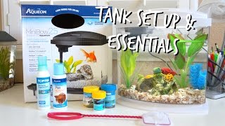 HOW TO SET UP A BETTA FISH TANK  ESSENTIALS [upl. by Windsor]