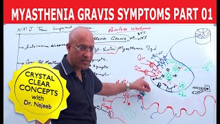 Myasthenia Gravis  Symptoms and Treatment  Part 2🩺 [upl. by Suivatram]