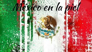 México en la piel Instrumental  Luis Miguel  FuerzaMéxico [upl. by Moffitt459]