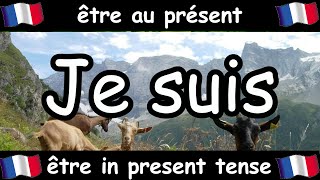 French Conjugation Song  Être  Celtic Music [upl. by Ativak]