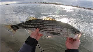 Striped Bass Season Icebreaker [upl. by Soph412]