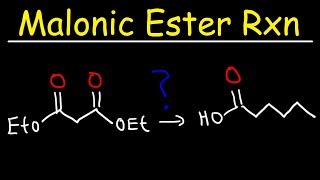 Malonic Ester Synthesis Reaction Mechanism [upl. by Marlee]