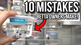 10 MISTAKES Betta Fish Owners Make [upl. by Eixirt]