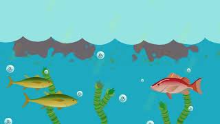 What is eutrophication [upl. by Stilu465]