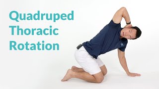 What is Thoracic Back Pain [upl. by Arakaj978]