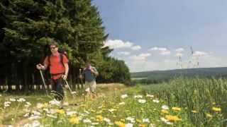 Travel Guide Rhineland Germany  Romantic Germany RhinelandPalatinate [upl. by Allmon833]