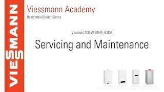 Vitodens 100 B1xA Service amp Maintenance [upl. by Nitsua]