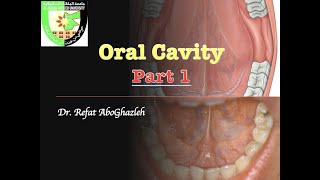 Oral Cavity  Part 1 [upl. by Las]