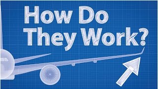 Winglets  How Do They Work Feat Wendover Productions [upl. by Furgeson1]