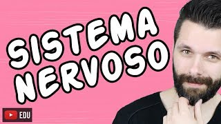 SISTEMA NERVOSO  FISIOLOGIA  Aula  Biologia com Samuel Cunha [upl. by Ninon]