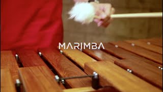 Resonancias la armonía del sonido Marimba [upl. by Rea482]