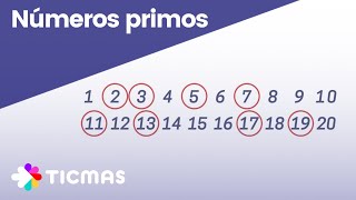 NÚMEROS PRIMOS DEL 1 AL 100 ¿qué es un número primo [upl. by Nnylhsa]