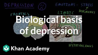 Biological basis of depression  Behavior  MCAT  Khan Academy [upl. by Adnalahs692]