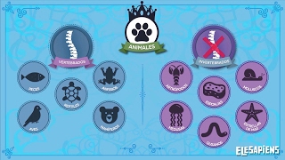 ANIMALES VERTEBRADOS E INVERTEBRADOS [upl. by Root741]