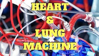 UNDERSTANDING THE HEART LUNG MACHINE [upl. by Sascha64]