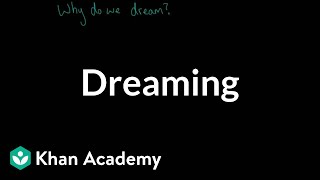 Dreaming  Processing the Environment  MCAT  Khan Academy [upl. by Hogan]