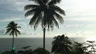 Loungemusik  Gitarren Musik Harmonie Wellness amp Paradies  OCEAN LOUNGE [upl. by Humpage]