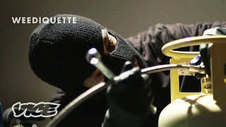 Making Weed Concentrates in an Underground Lab  WEEDIQUETTE [upl. by Sybilla]