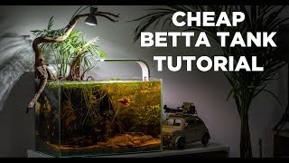 BETTA TANK tutorial  Cheap and easy aquarium for BEGINNERS [upl. by Assinna]