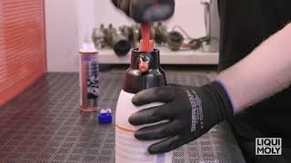 Liqui Moly Catalytic System Cleaner [upl. by Catie]