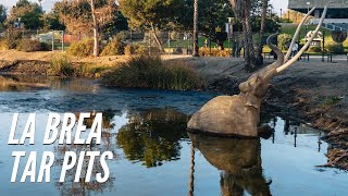 Exploring the La Brea Tar Pits in Los Angeles [upl. by Carlee603]