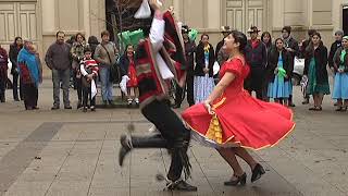 cueca chilena campeones folclor bailes programa monteaguilino suscríbete [upl. by Walston988]