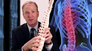 Spinal Nerve Root Pain [upl. by Llenel]