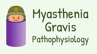 Autoimmune disorders Myasthenia Gravis [upl. by Tiffi]