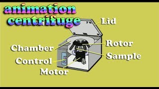 how to works centrifuge basic principle  centrifuge animation [upl. by Arukas]