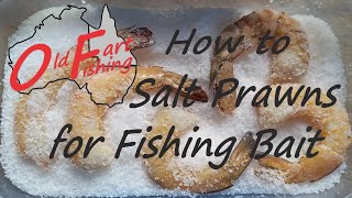 How to Salt Bait for Fishing  Prawns  Shrimps [upl. by Hessler]