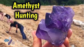 Finding Large Amethyst Crystals Digging Jackson’s Crossroads  Public Mine  JXR [upl. by Yzzik]