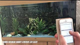 Juwel HeliaLux Aquarium Smart Control Light Stunning [upl. by Coke776]