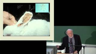 Prof William Campbell  The Story of Ivermectin [upl. by Ytirehc100]