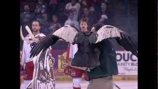 Condor goes WILD during Bakersfield Condors Game [upl. by Arakal]