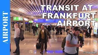 TRANSIT WALK AT FRANKFURT Airport FRA Terminal 1  Connection Flight Transfer Arriving amp Departing [upl. by Moht]