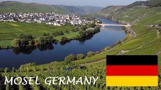 Mosel Wine tourism German Riesling Wine Moselle Valley Germany wines DeutschlandTourismus Travel [upl. by Lotti]