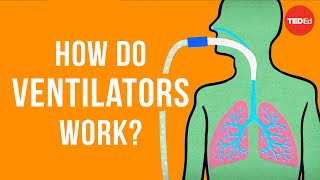 How do ventilators work  Alex Gendler [upl. by Tirb319]