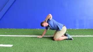 Quadruped Thoracic Spine Rotation [upl. by Asilef579]