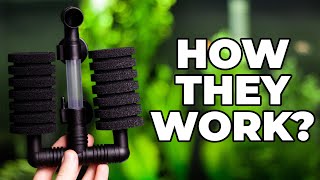 How Do Sponge Filters Work [upl. by Gardell831]